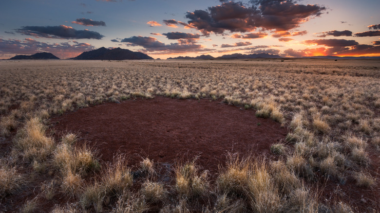 A fairy circle in Namibia