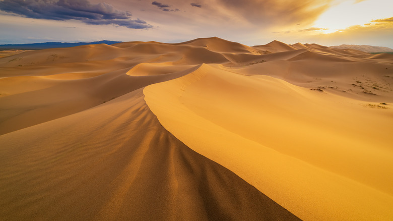 A series of dunes stretching to the horizon