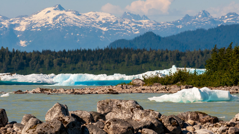 Sacred Headwaters