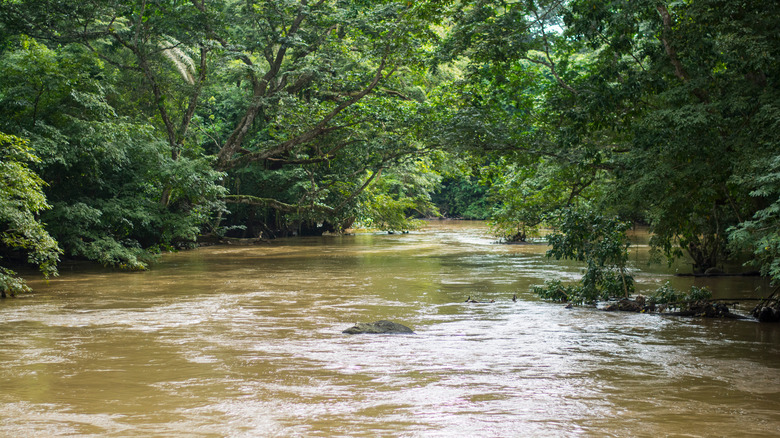 Osun River