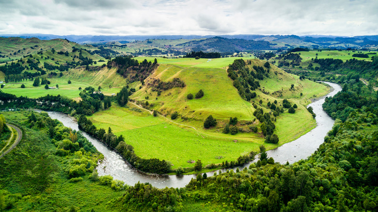 Whanganui River