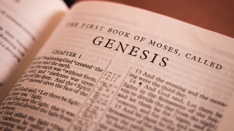 the book of genesis