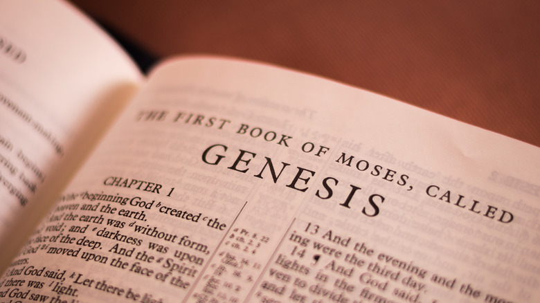 Book of Genesis in the Bible