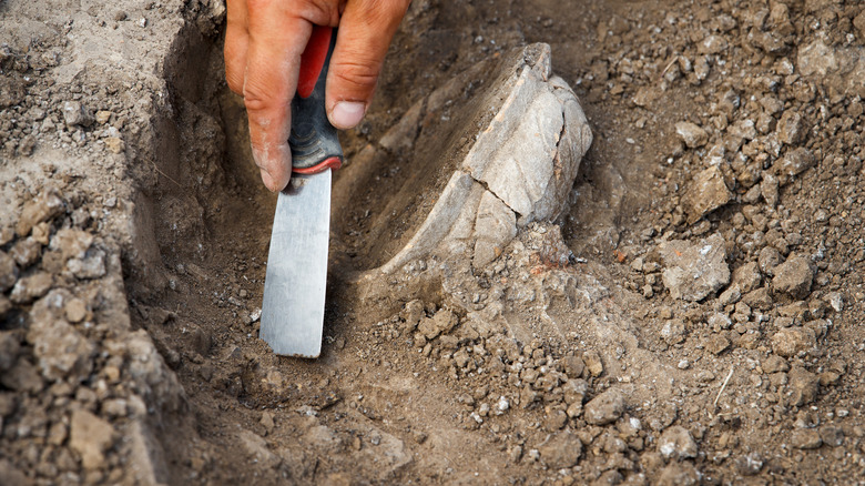archeologist digs up a specimen