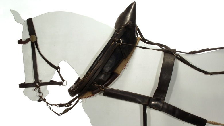 A horse collar and harness
