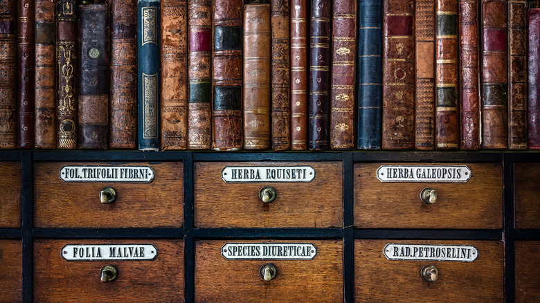 apothecary books and cabinet