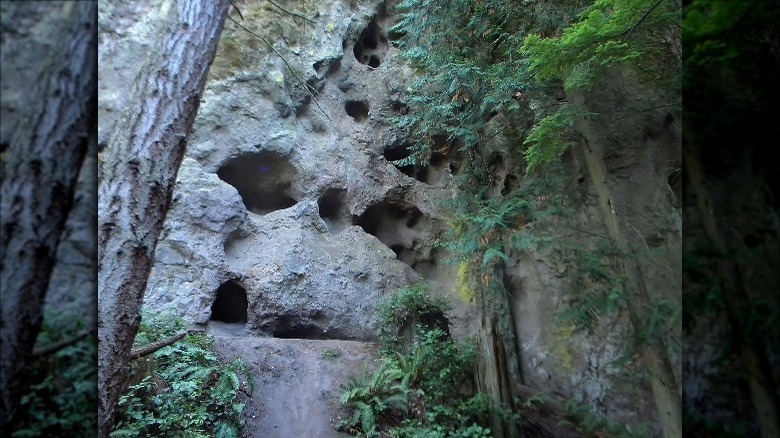 tamanowas rock Washington state