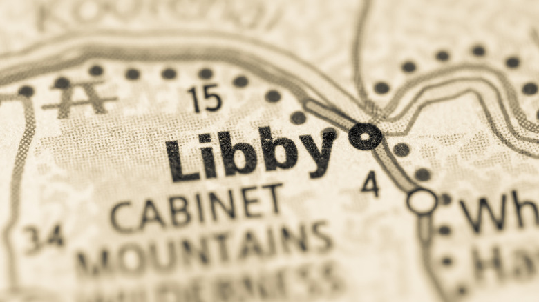 libby montana map