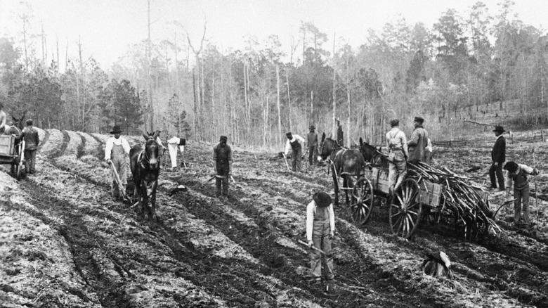 farmers using tools