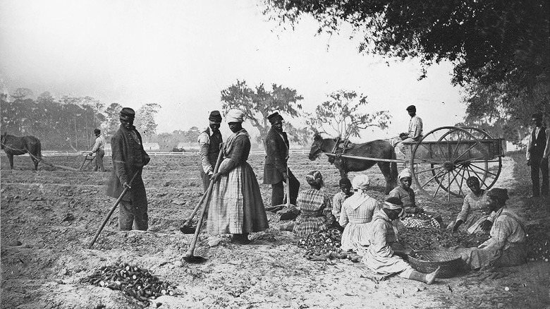 slave laborers