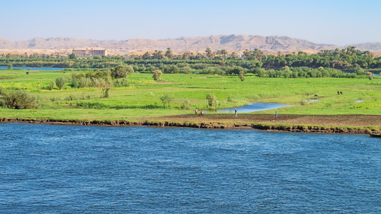 Nile wetlands