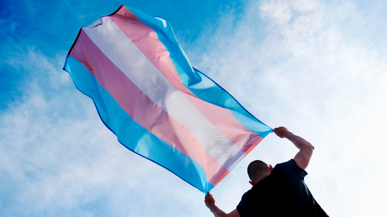 person holding trans flag