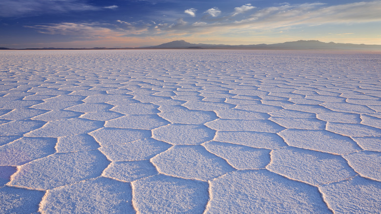 salar de uyuni