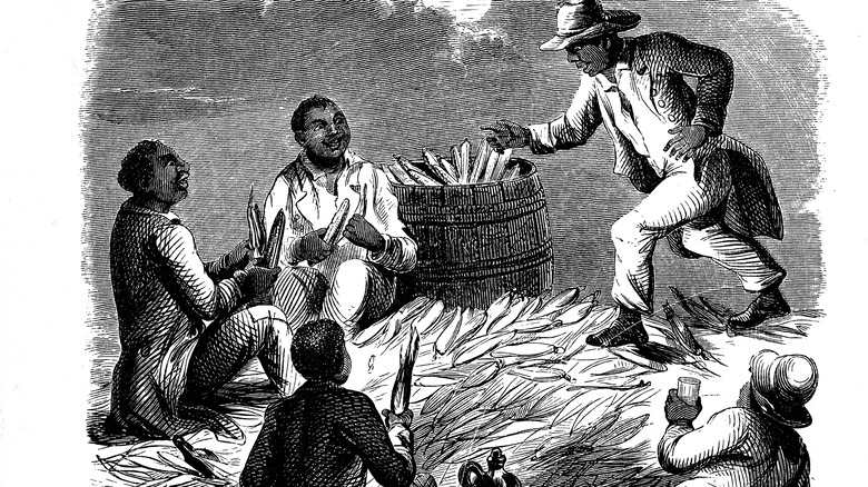 slaves husking corn, circa 1850