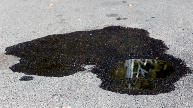 Oil spill on an asphalt road