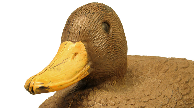 Duck decoy