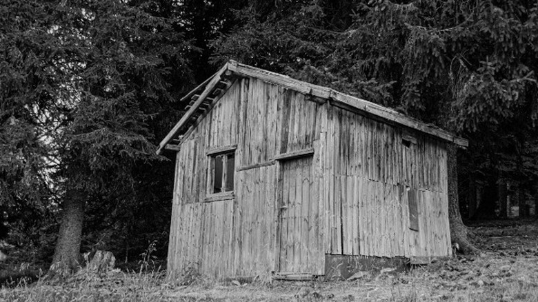 Shack in the woods