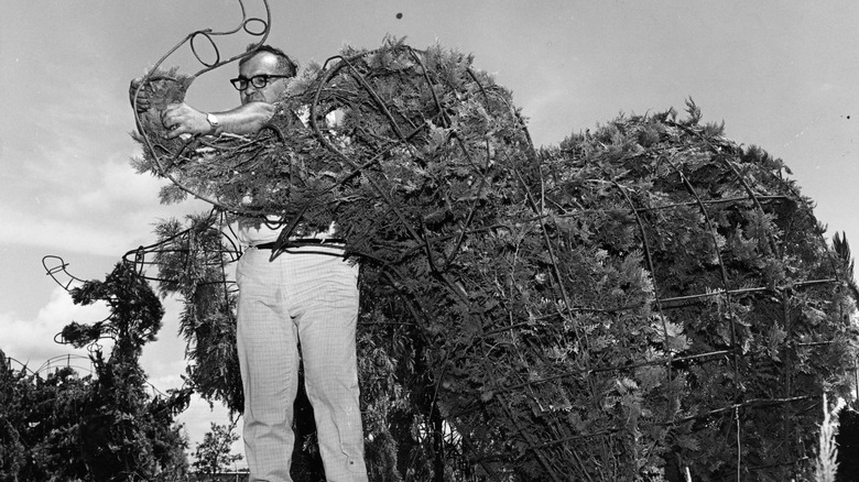 Man making the topiary for Disney World