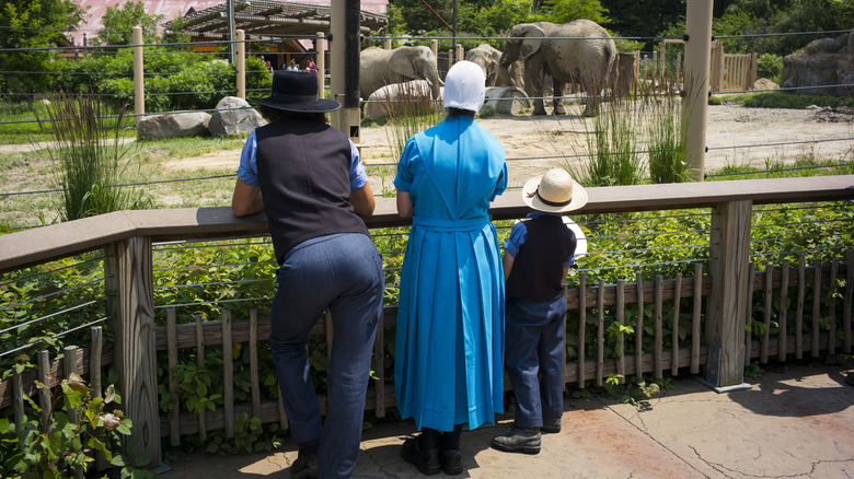 amish family at the zoo
