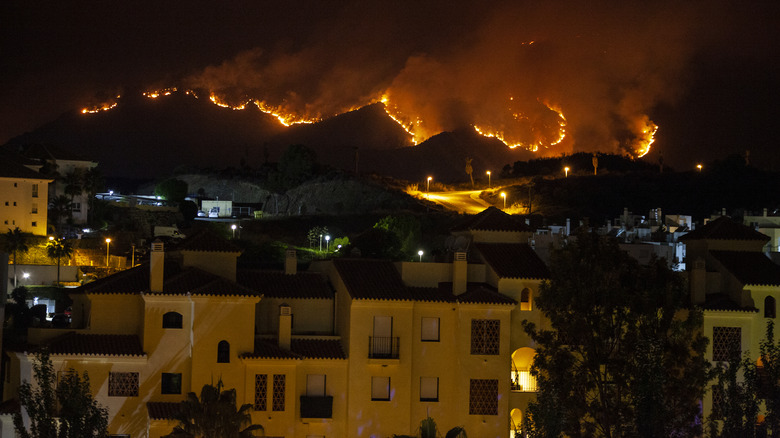 forest fire in front of houses