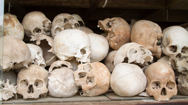 skulls from Cambodian killing fields
