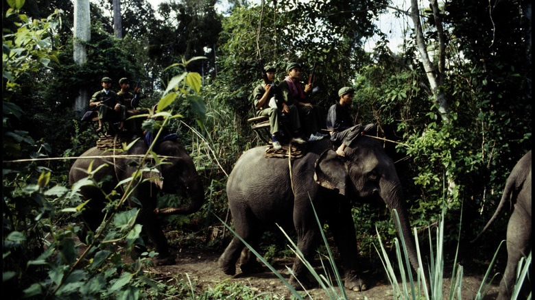 Khmer Rouge soldiers on elephant