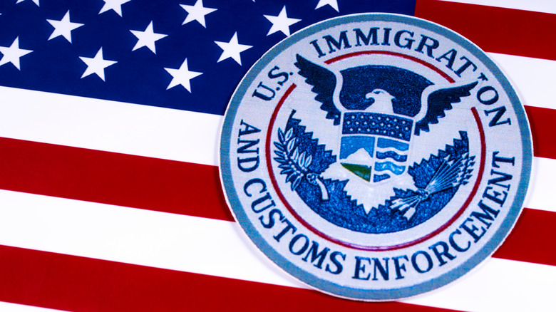 U.S. Customs and Immigration flag