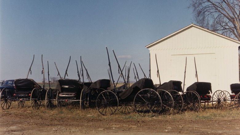 Amish buggies parked at church