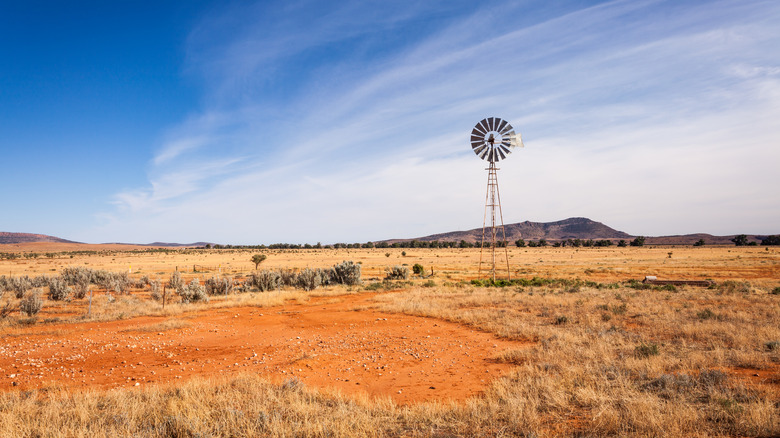 australian outback looking hot