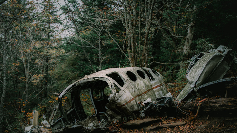 Plane crash in forest