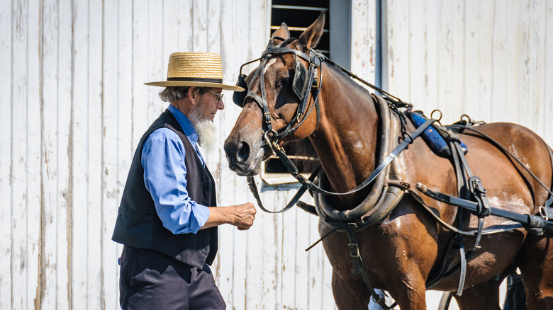 elderly Amish man in Pennsylvania