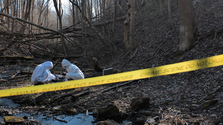 Investigators working wooded crime scene