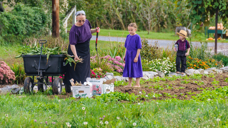 an amish family