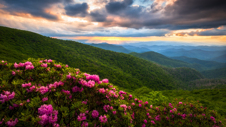 Southern Appalachian Mountains