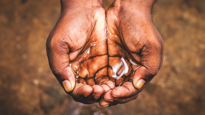 Hands cupping water