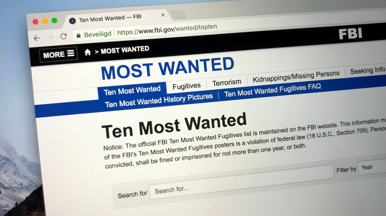 screenshot of the fbi most wanted website