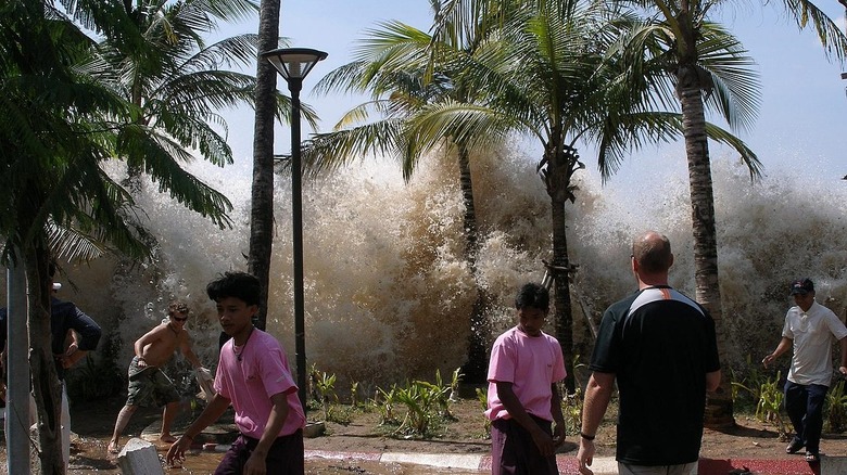 2004 Indian Ocean earthquake tsunami