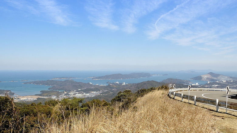 Ise Bay from Ise City Skyline