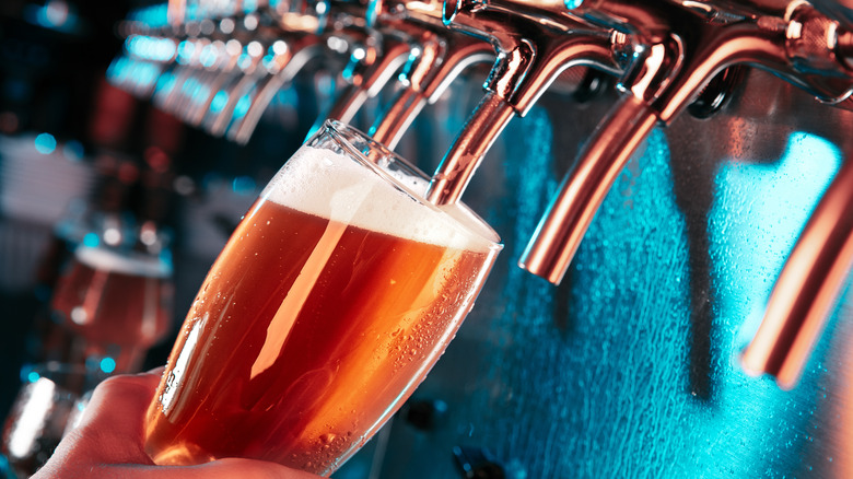 pouring a pint in a pub