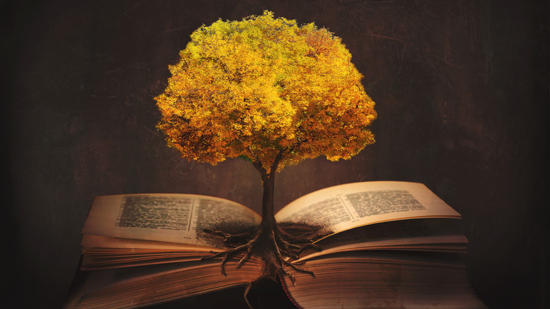 tree sprouting from a book