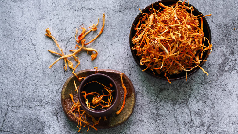 Dried cordyceps militaris on ceramic bowls