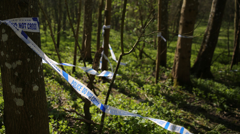 police tape forest trees