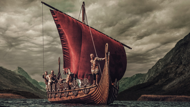 Vikings sailing on the sea