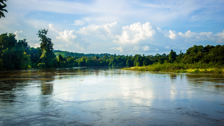 river flowing through Benin City