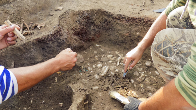 archeologists digging for fossils