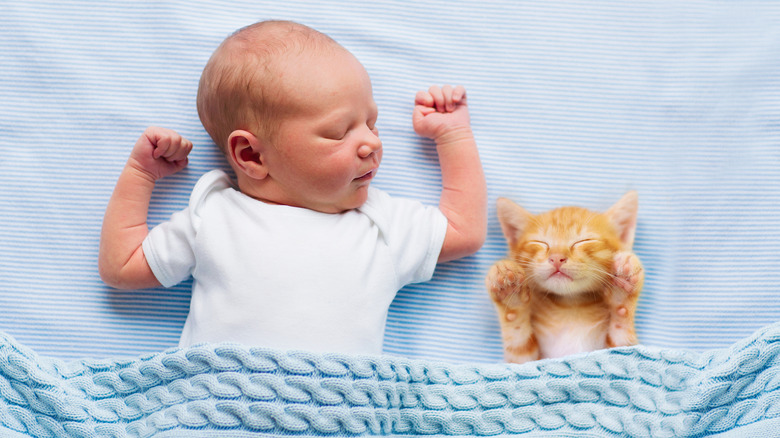 A baby with a kitten