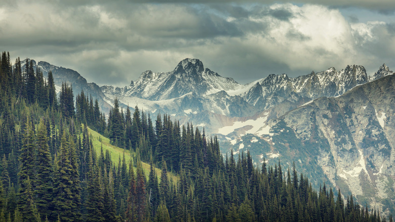 North Cascades National Park