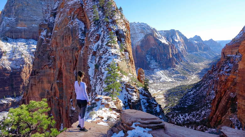 Angel's Landing in Zion National Park
