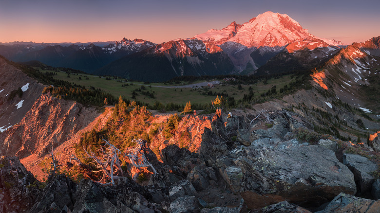 Mount Rainier National Park