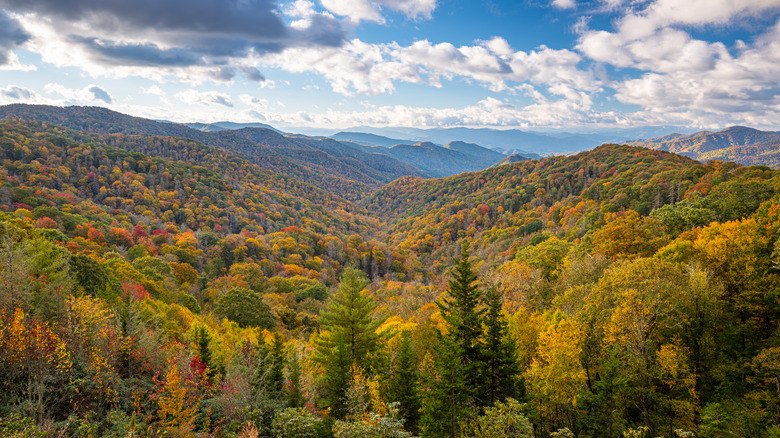 Great Smoky Mountains National Park